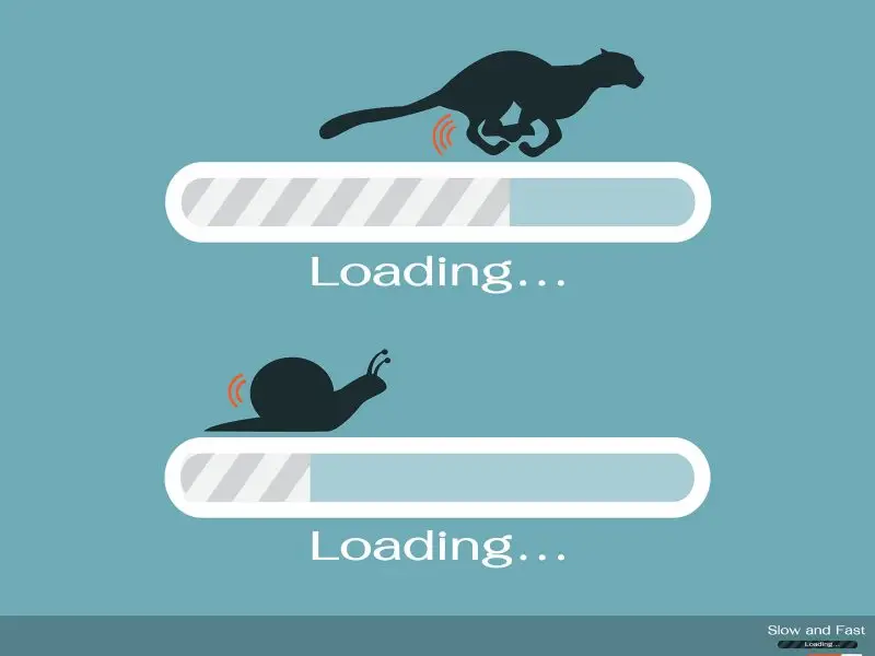 Does Your Website Load Fast Enough? Image shows two loading bar, one moving quickly depicted by the image of a cheetah and the second moving slowly depicted by a snail - website loading speed concept