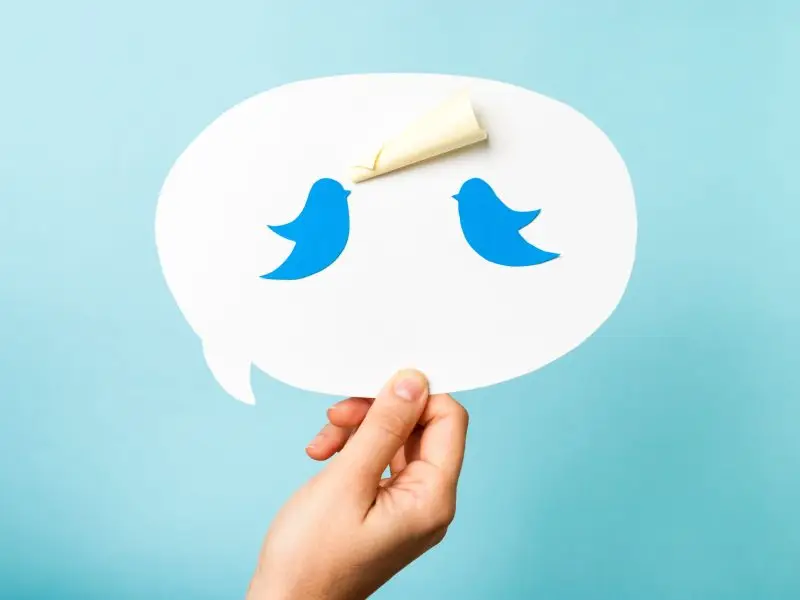 Twitter Fleets - this image shows a pale blue background with a speech bubble held up by a hand, in the speech bubble are two blue birds like the Twitter logo, one has a rolled up paper like a home made megaphone